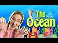 Learning ocean animal life  sarah sunshine