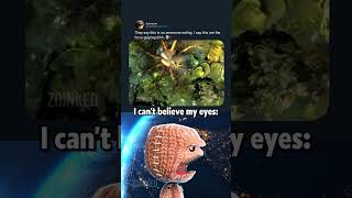 Is This The Real Anemone?