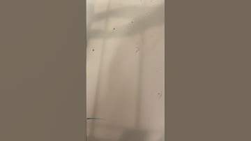 How about Noah Benson￼