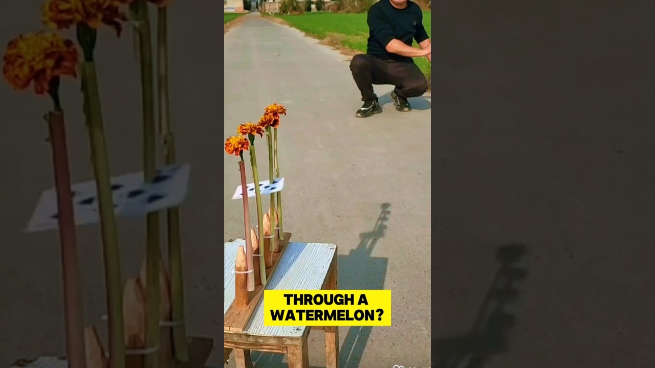 playing cards attached as a cutting weapon WeaponizedCards 