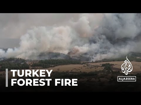 Turkey forest fire: At least six villages evacuated in Canakkale