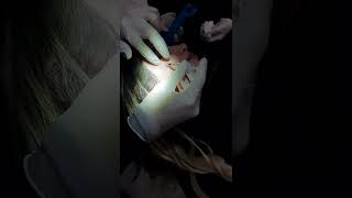 Paciente Andressa Dal Bosco - Aplicação De Botox