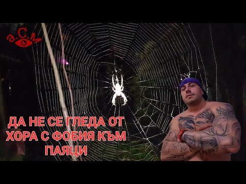 Видео: По-силна от паяжината