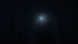 BIGFOOT HOWL - The Lassen Howl