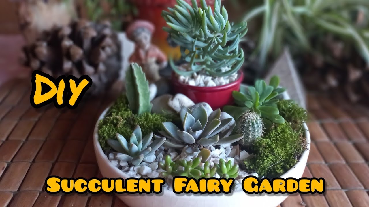 Succulent Fairy Garden | DIY Fairy Garden - How To Make A Succulent ...