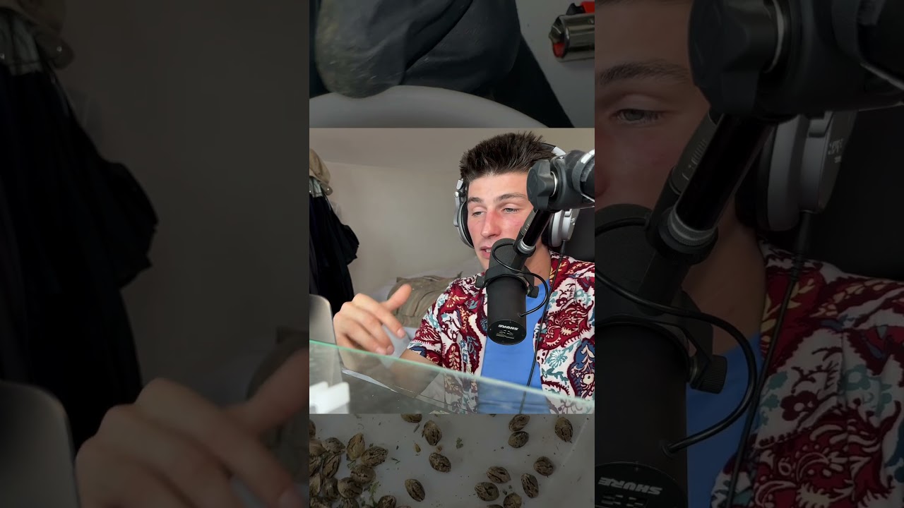 How to store cannabis seeds long term! Check the full video on my channel!