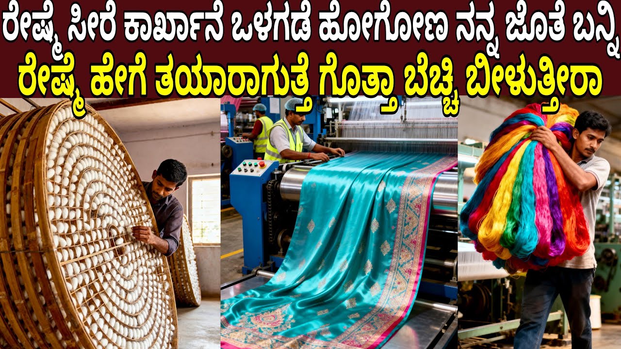 ರೇಷ್ಮೆ ಸೀರೆಯ ಕಾರ್ಖಾನೆ ಒಳಗಡೆ ಹೋಗೋಣ ಬನ್ನಿ ರೇಷ್ಮೆ ಹೇಗೆ ಮಾಡ್ತಾರೆ ಗೊತ್ತಾ ಬೆಚ್ಚಿ ಬೀಳ್ತೀರಾ | Silk Factory