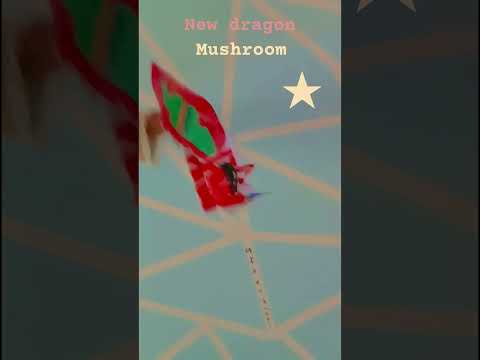 new dragon!!!!