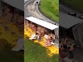 Truck carrying mac and cheese overturns, spills cheese powder on Montreal highway