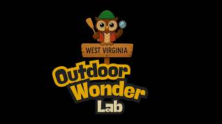 Celebrity Outdoor Wonder Lab (OWL) Camp 2025 Program Highlights Wealth