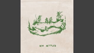 Dead Nettles
