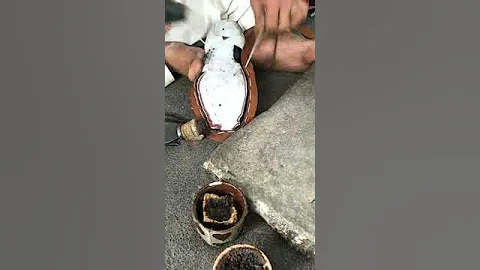 handmade shoes #shoemaking #shoemaker #diy #asmr #fashion #leather #how #shoecraft