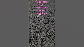 Finished vs. Unfinished Worm Castings | Quick Visual Guide for Vermicomposting