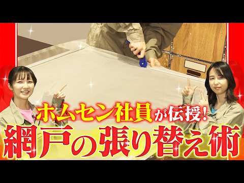 【網戸の張り替え】1人でも簡単！初めてでも失敗しない網戸の張り替え術と必要アイテムを現役ホームセンター社員が解説！