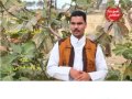 اغنيه لولاف قسيتى