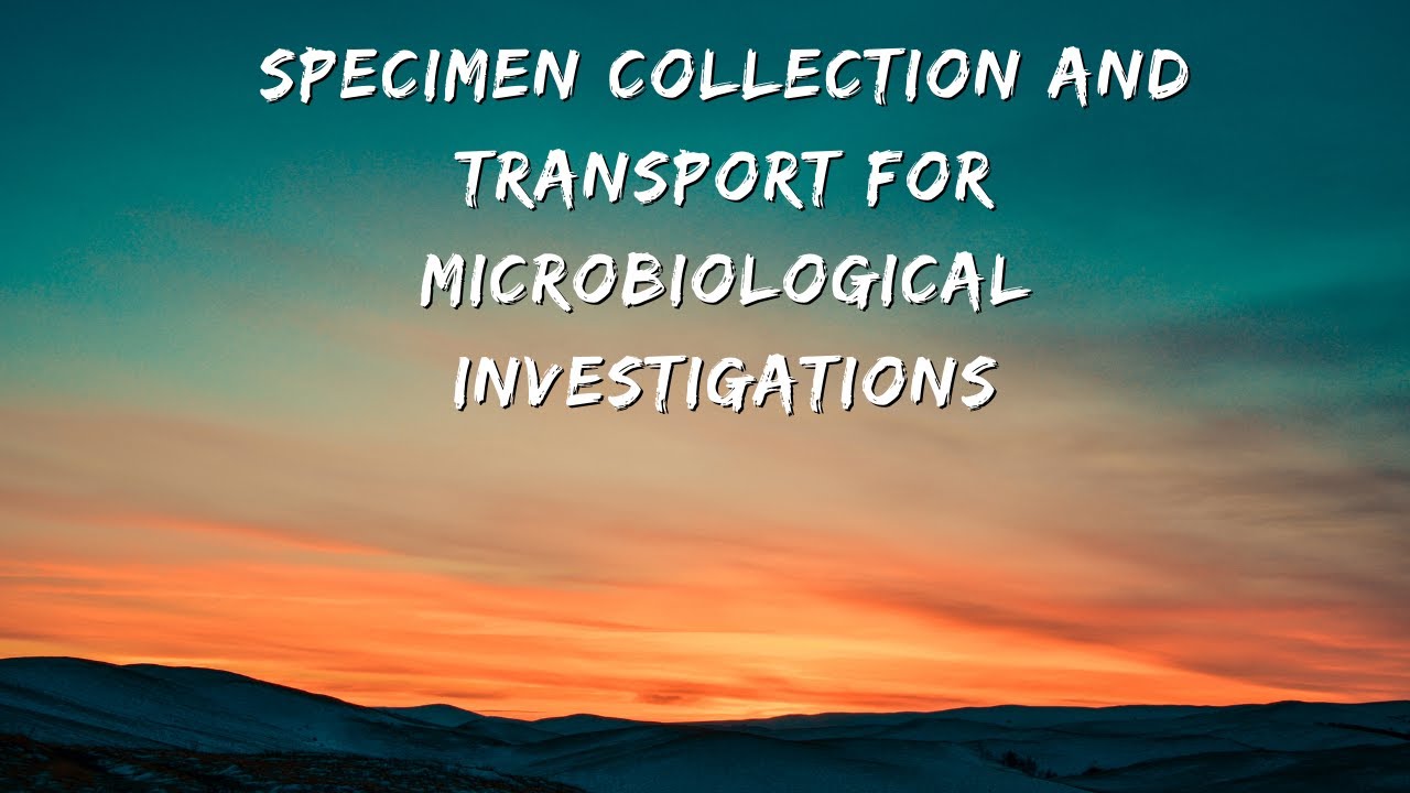 Specimen collection and transport for Microbiological investigations YouTube