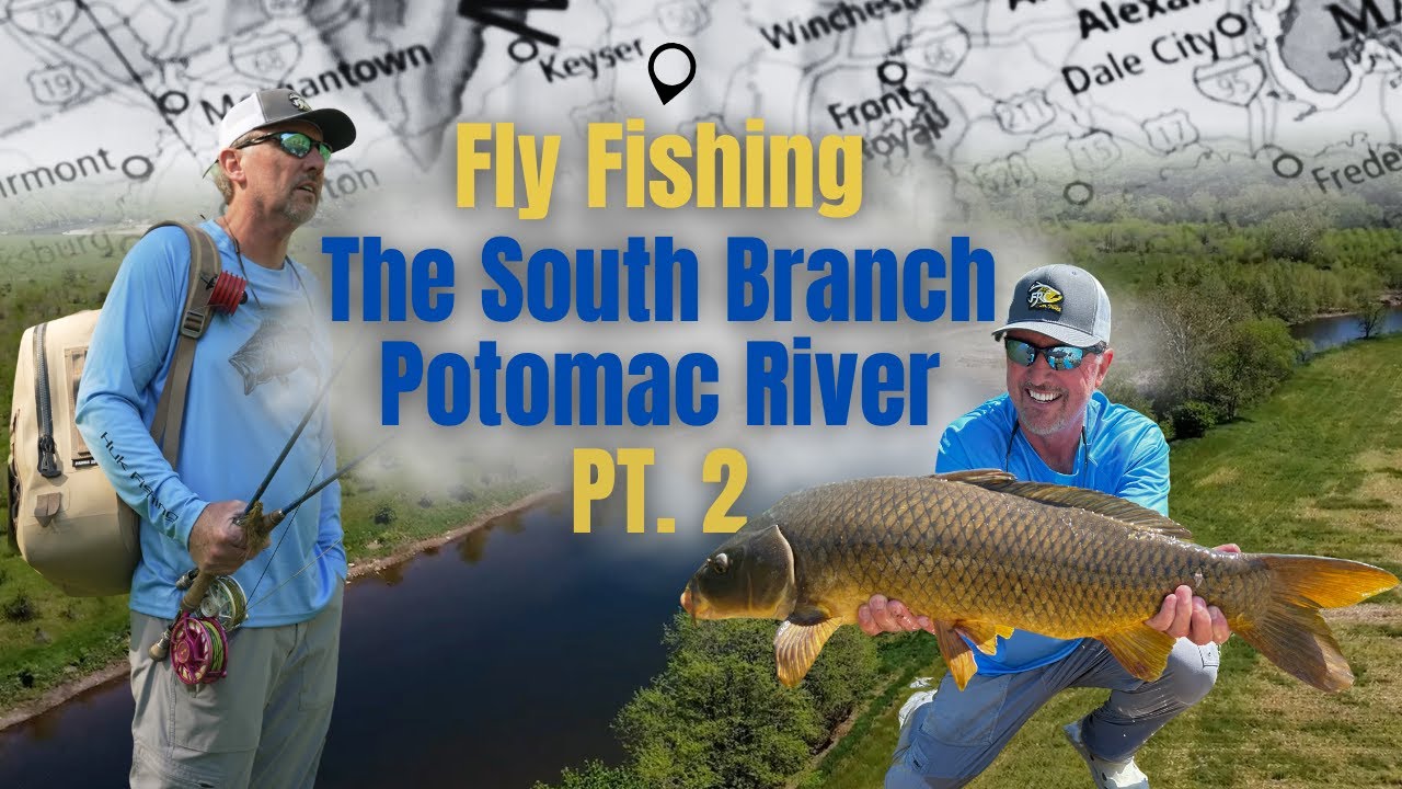 fish and hook curtis The CREEK MANIFESTO by Sheridan Anderson Amato Books Tie and fish egg and bead patterns with confidence 2 1/8" Bone Fish Hook,