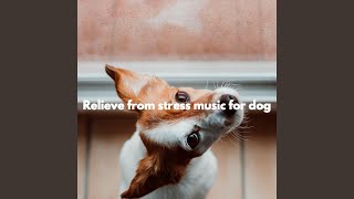 Mellow Forgetting Mirrors