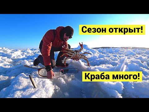 Краба много! // Lot of crab! (Eng Subs)