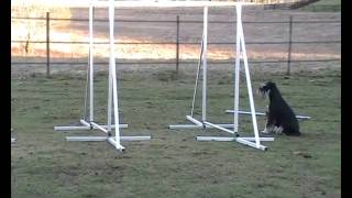 20110414 Basic Grids Nexi