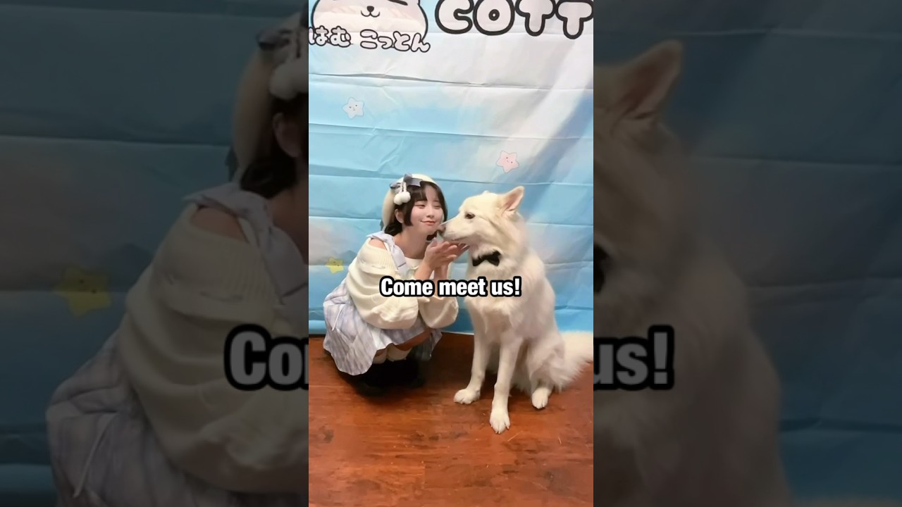 Hamu Birthday Event next Saturday March 16th!! See you soon~