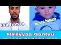 Utuu Hatee Addeema Jiruu Mirmara Irratti Qabame Namichi Muccaa Hiriiyyasa Hatee