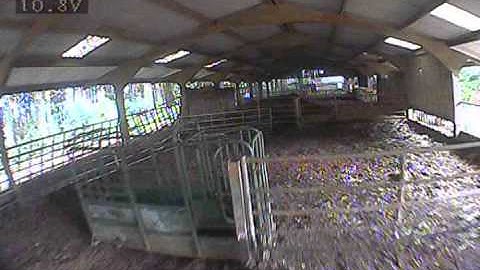 raw video , no edits .FPV  250 quadcopter flight #2 rate mode cc3d open pilot