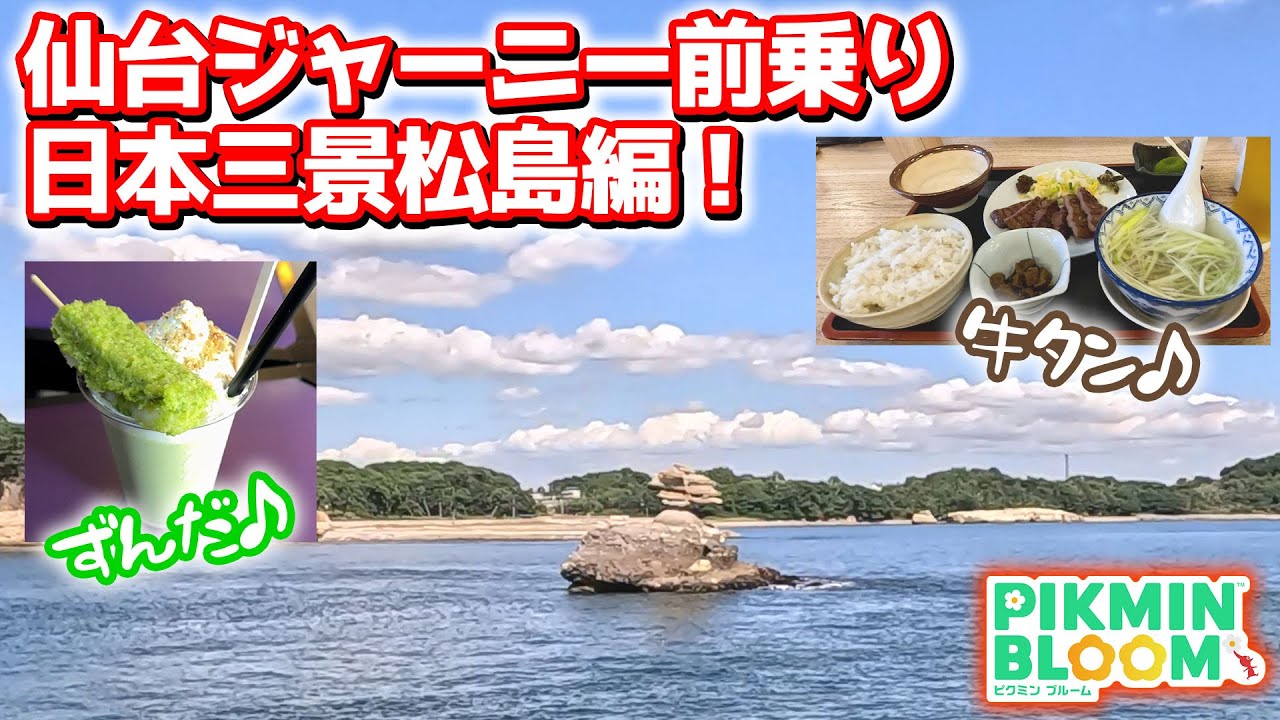 Pikmin Bloom] Early Bird Journey to Sendai! Matsushima, one of