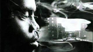 Lil Wayne - Outro (Nas' Verse) 2011