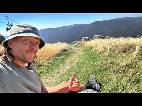 Kosciusko National Park Deer search