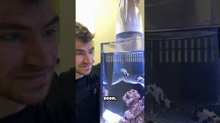 Unboxing rarest fish in the world!