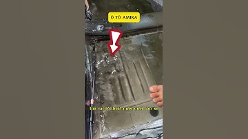 cách xử lý nhanh khi sàn xe ô tô ngập nước #amika #otoamika #kienthucoto #sanxengapnuoc