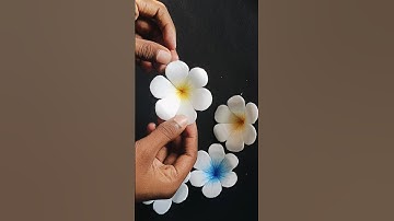 Make flower from disposable plates #video #shorts