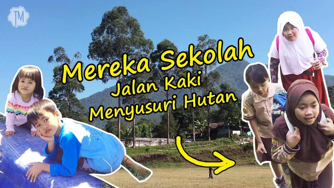 TERHARU Liat Perjuangan Anak  Kecil  Sekolah Jalan Kaki di  