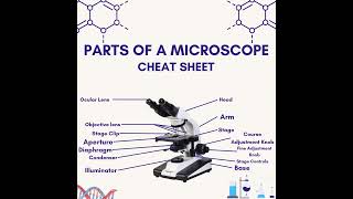 Parts of a Microscope Cheat Sheet