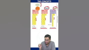FATTY ACIDS OF PLASMA MEMBRANE #csirnet #cellbiology