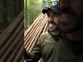 Never do this when building a shelter on a fallen tree – or it could collapse on you. #shorts #su...