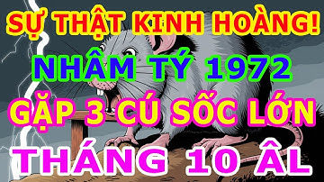 SỰ THẬT KINH HOÀNG! Nhâm Tý 1972 Sẽ Đối Mặt 3 CÚ SỐC LỚN Trong Tháng 10 Âm Lịch 2025