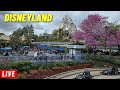  live  disneyland morning wit rides and shows 4162024