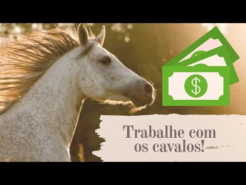 5 maneiras de ganhar dinheiro com cavalos