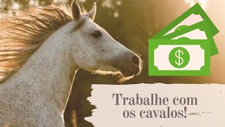 5 maneiras de ganhar dinheiro com cavalos