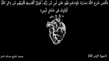 آيات بتلاوة عبدالله كامل ✨حالات واتس قرآن