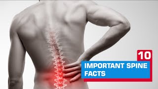 10 Important Spine Facts