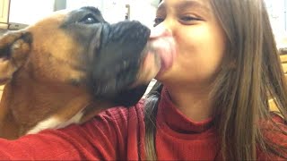 Getting a bunch of kisses from Coco and Charlie! ❤️ by Goody Two Shoes 164 views 1 year ago 1 minute, 1 second