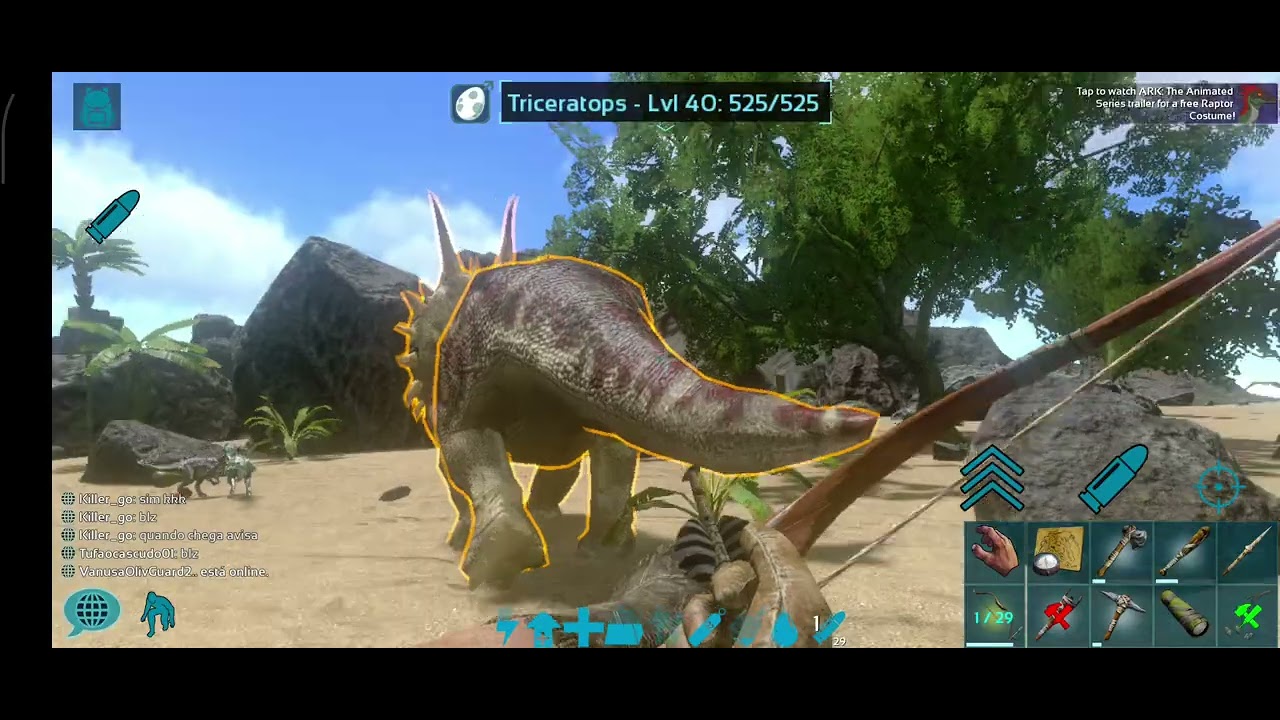 Meu dia a dia na ark