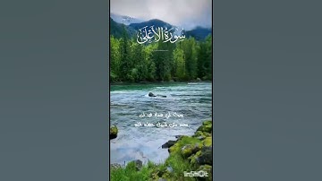 تلاوة سورة الأعلى - بصوت أبي همام فهد ابن محمد مثنى شبيل حفظه الله