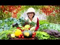 Harvesting vegetables and fruits in the backyard - My small dream garden