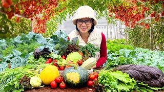 Harvesting vegetables and fruits in the backyard - My small dream garden