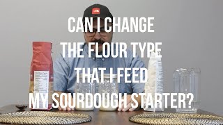Can I Change the Flour Type That I Feed my Sourdough Starter?