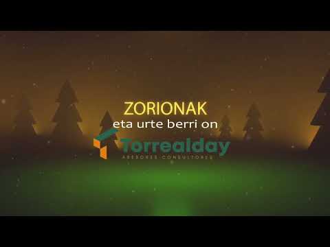 Asesoria Torrealday Portugalete